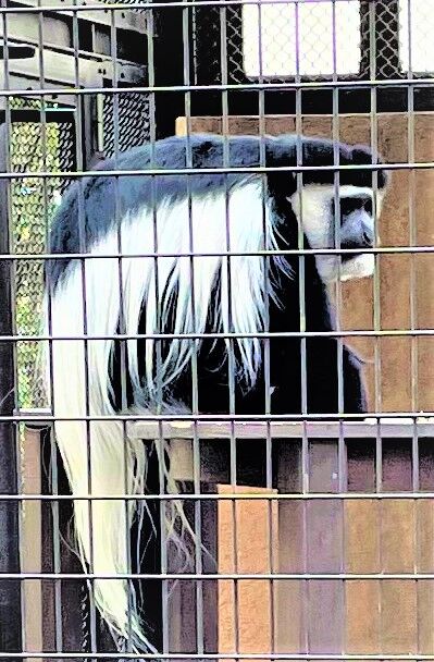 サルドアップ