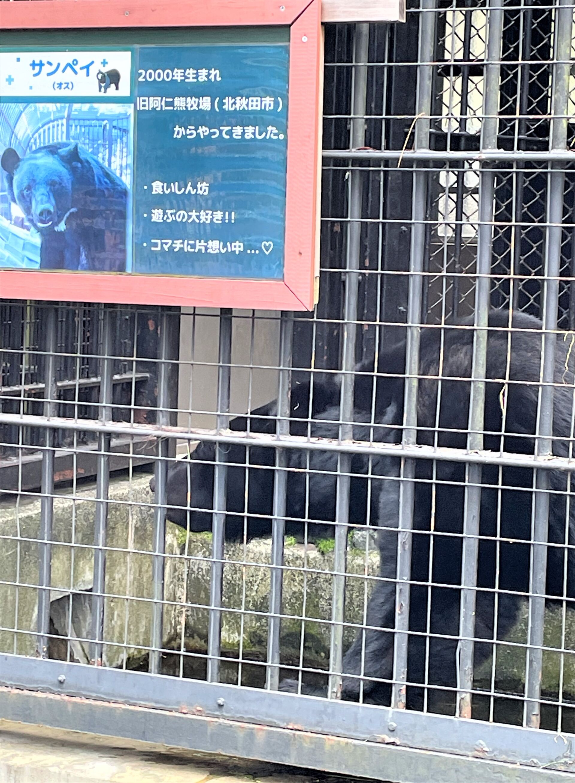 さんぺいお