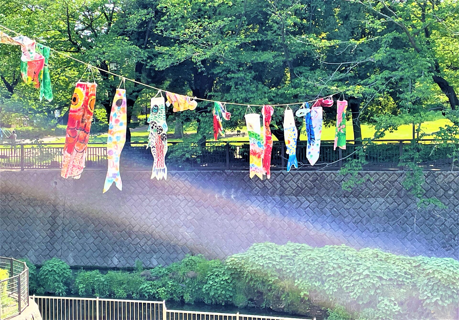 こいのぼりがたくさん