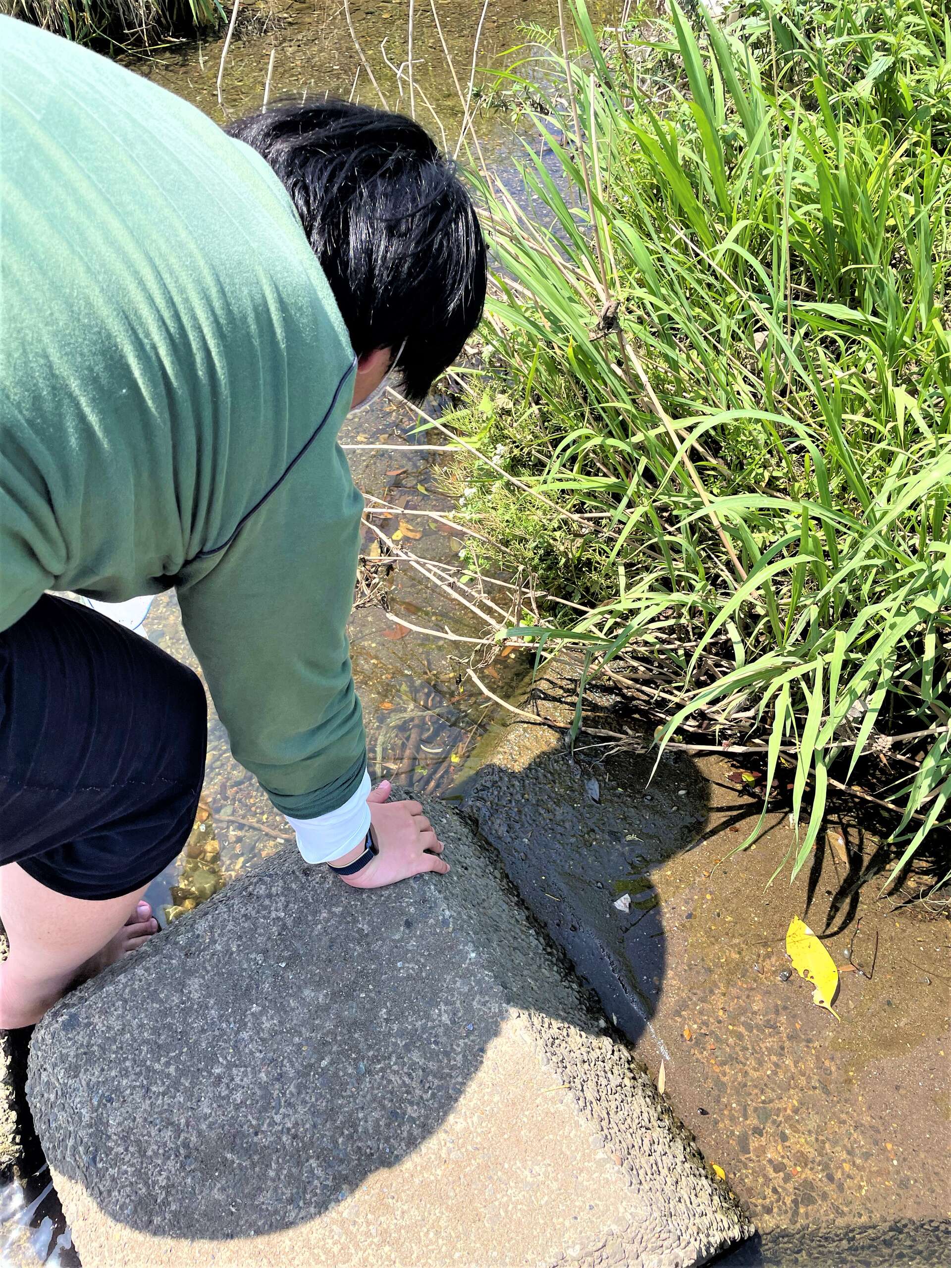 のぞきこみ