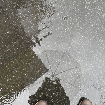 2D988711-4D4F-46C1-AA03-F6F8CEAED0B8