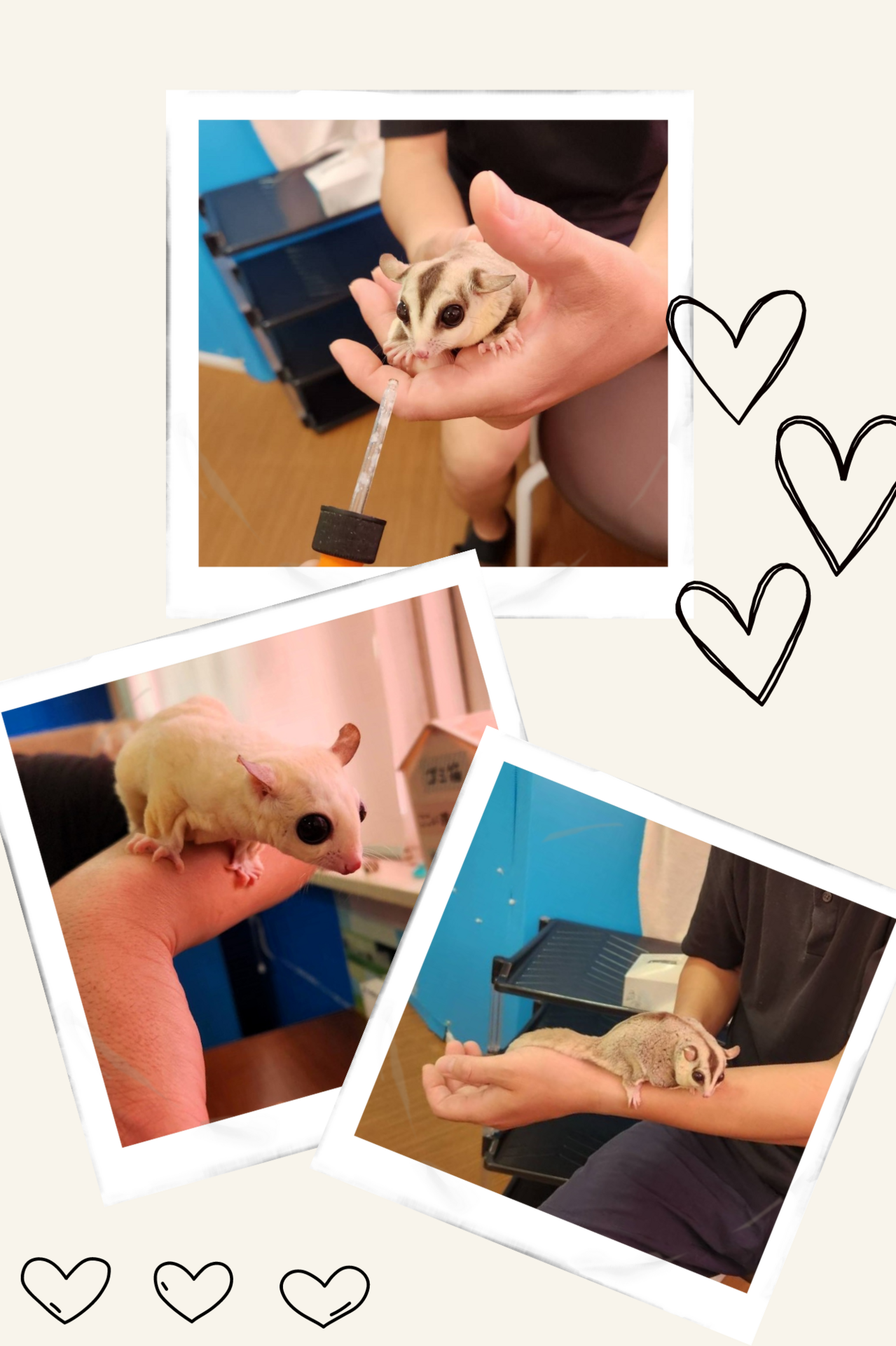 写真 2024-06-11 14 13 53