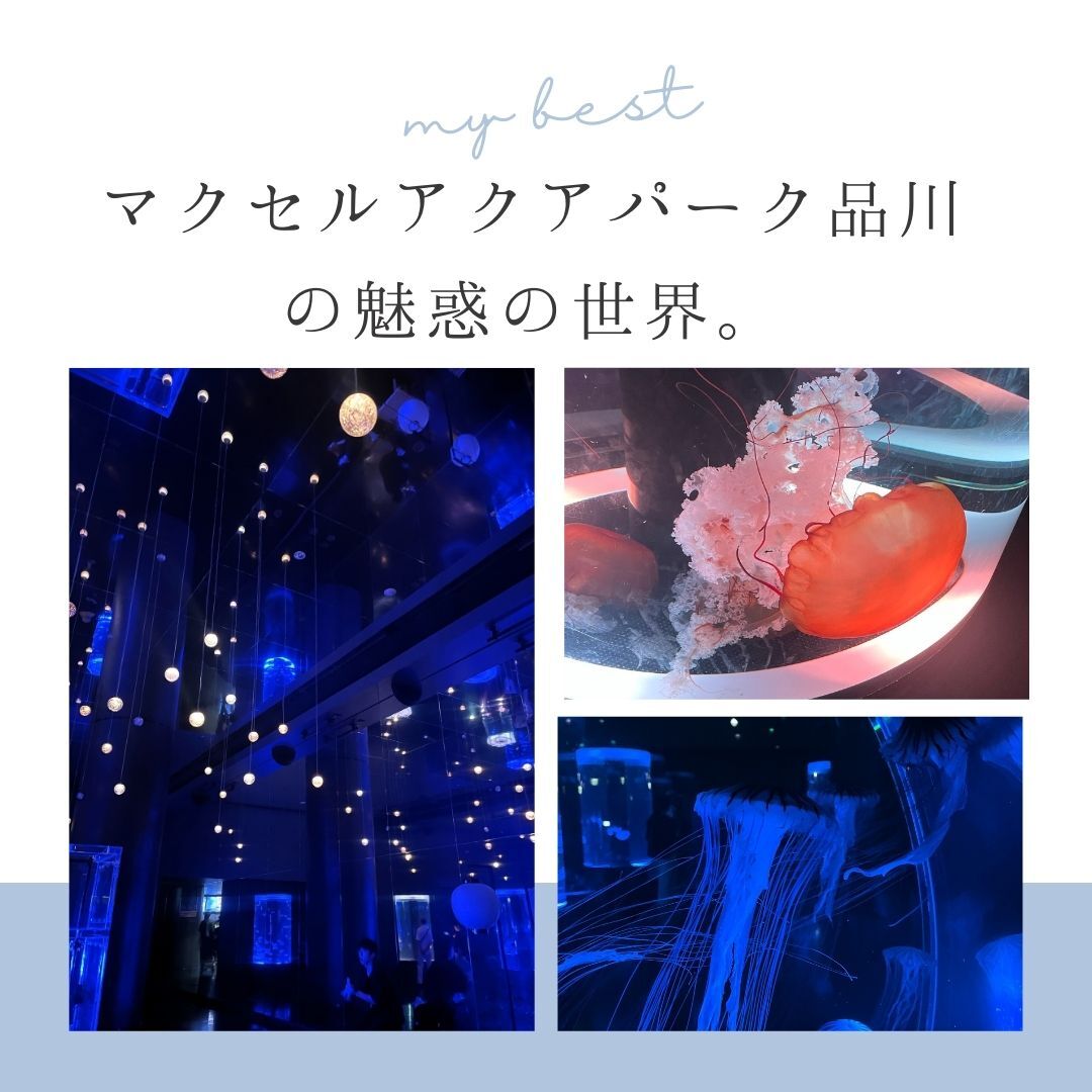 シンプル　白　写真　観光　インスタグラム投稿