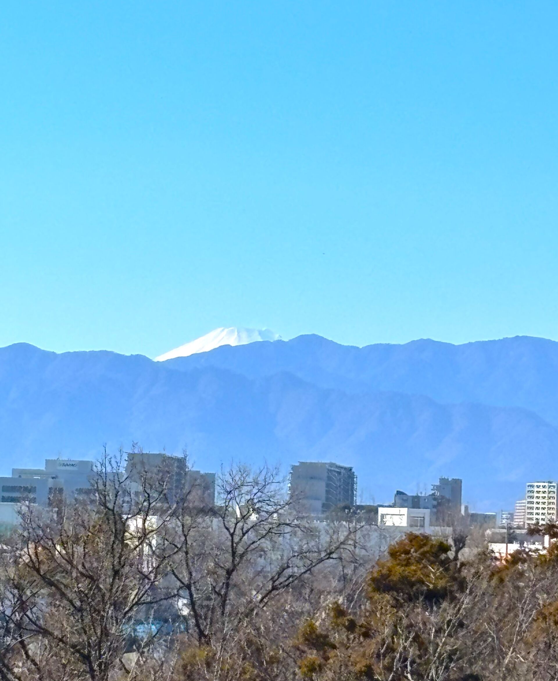 20260110_034235031_iOS