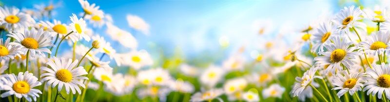 s-AdobeStock_260920918