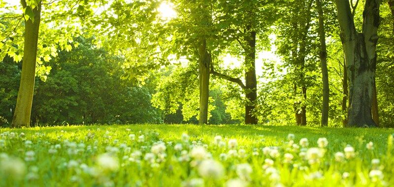 s-AdobeStock_292595628